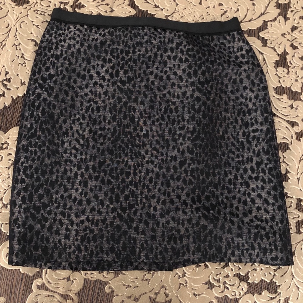 Skirt by Ann Taylor